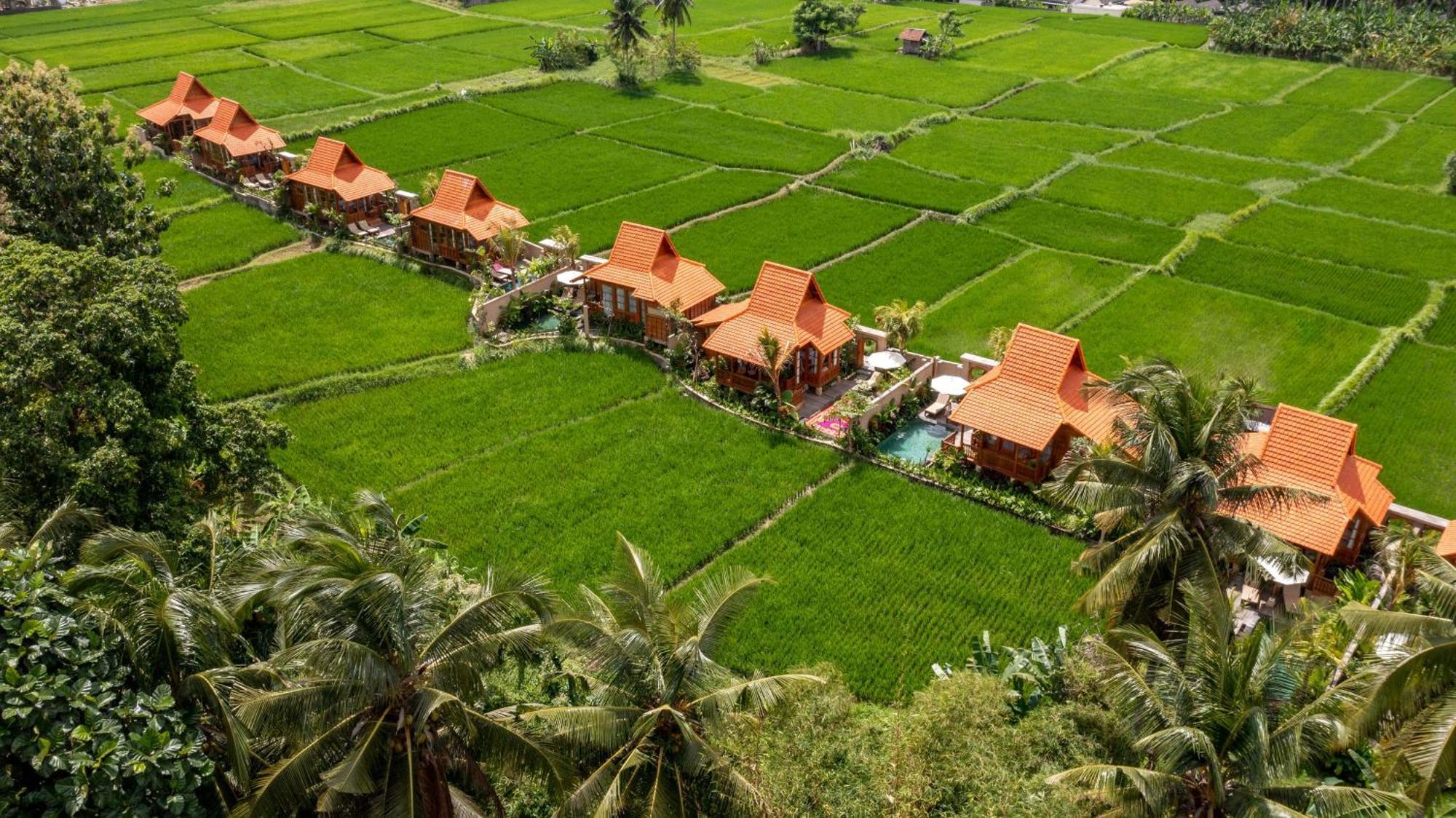 The Kalyana Ubud Resort Exterior foto